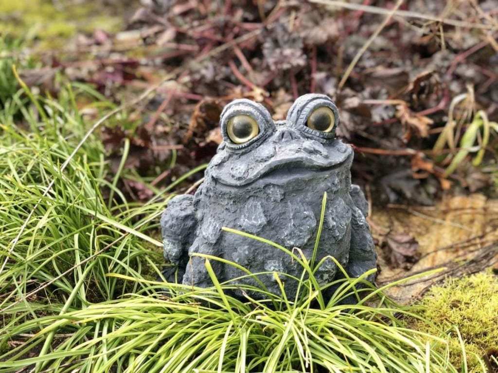 Frog Statue in Vancouver WA