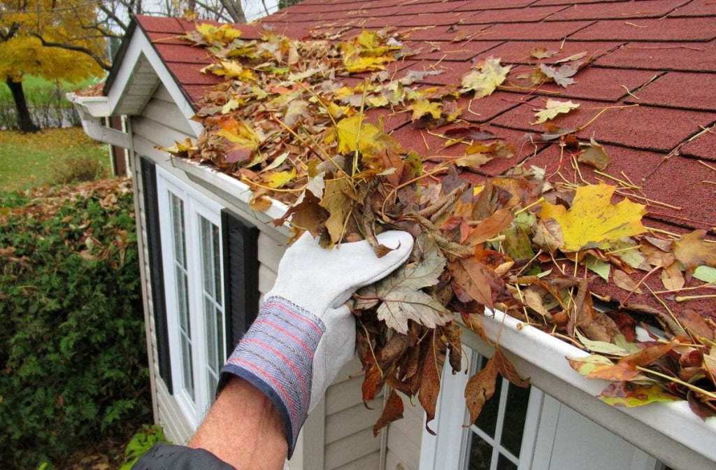 Removing Fall Leaves from Gutter Forcewashing Vancouver WA