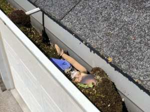 Objects in gutter removal - Forcewashing Roof Cleaners in Vancouver WA