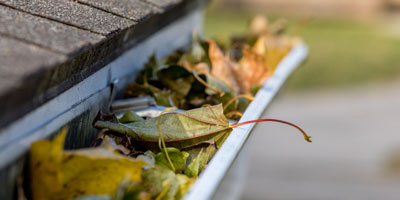 Gutter Debris Removal - Gutter Cleaning by Forcewashing in Vancouver WA