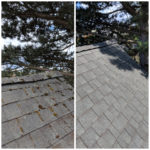 Forcewashing - Roof Cleaning Before and After Photo - Roof Cleaners in Vancouver WA