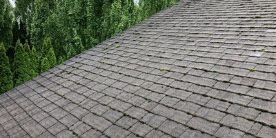 Roof Maintenance - Forcewashing Roof Cleaners in Vancouver WA