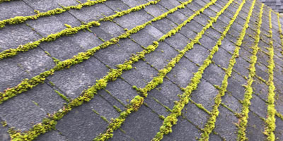 Roof Moss Removal - Forcewashing Roof Cleaners in Vancouver WA