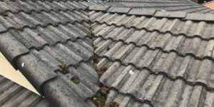 Tile Roof Cleaning - Forcewashing Roof Cleaners in Vancouver WA