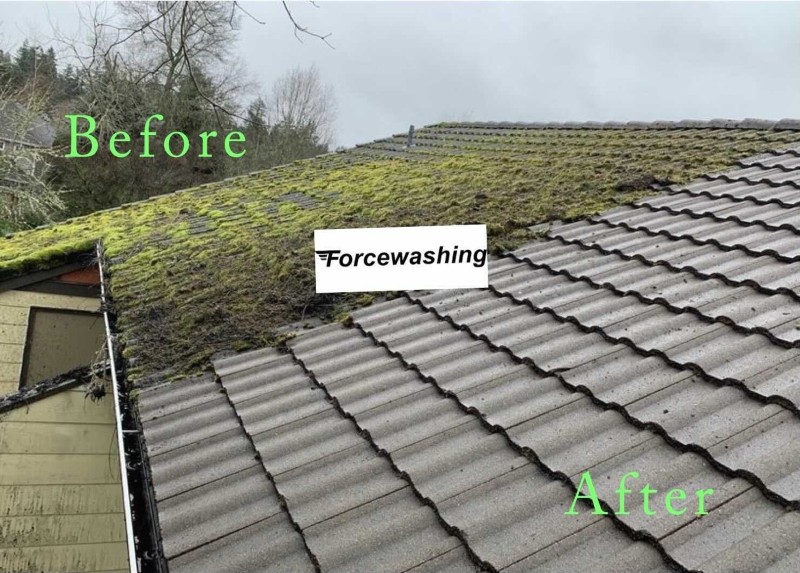 Before and after Forcewashing cleaned roof of duplex