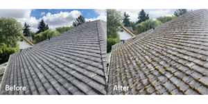 Before and After roof cleaning.