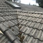 Roof cleaning by Forcewashing serving Portland OR & Vancouver WA